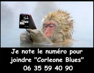 1505991_786277351454058_3290821236686791248_n